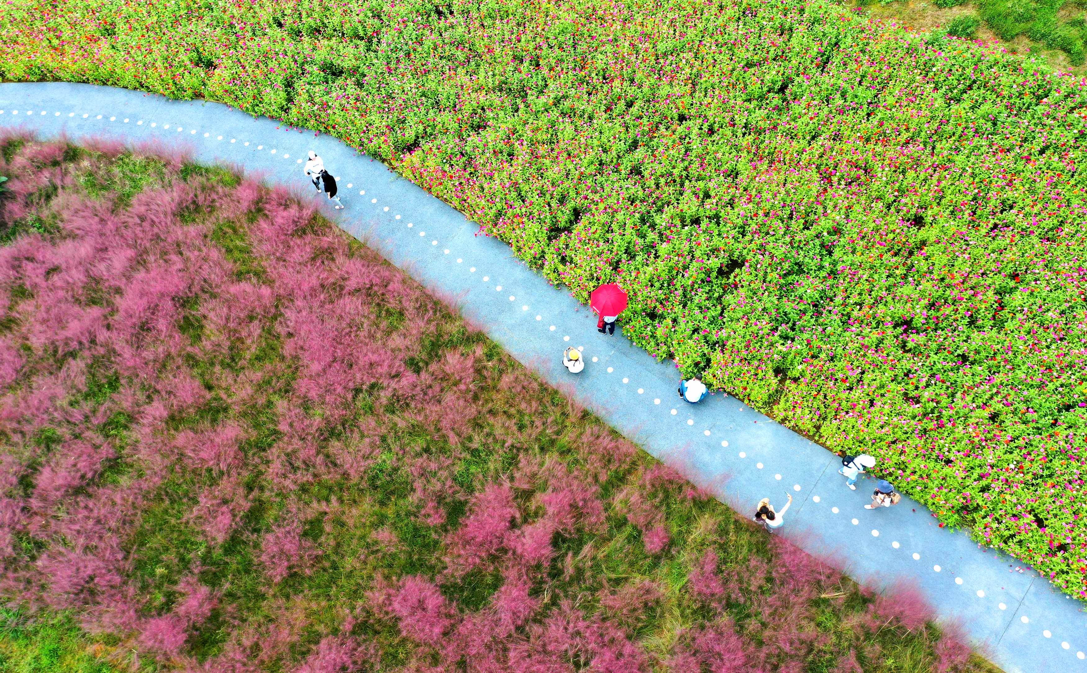 “網(wǎng)紅”景點(diǎn)吸引各地游客。.jpg