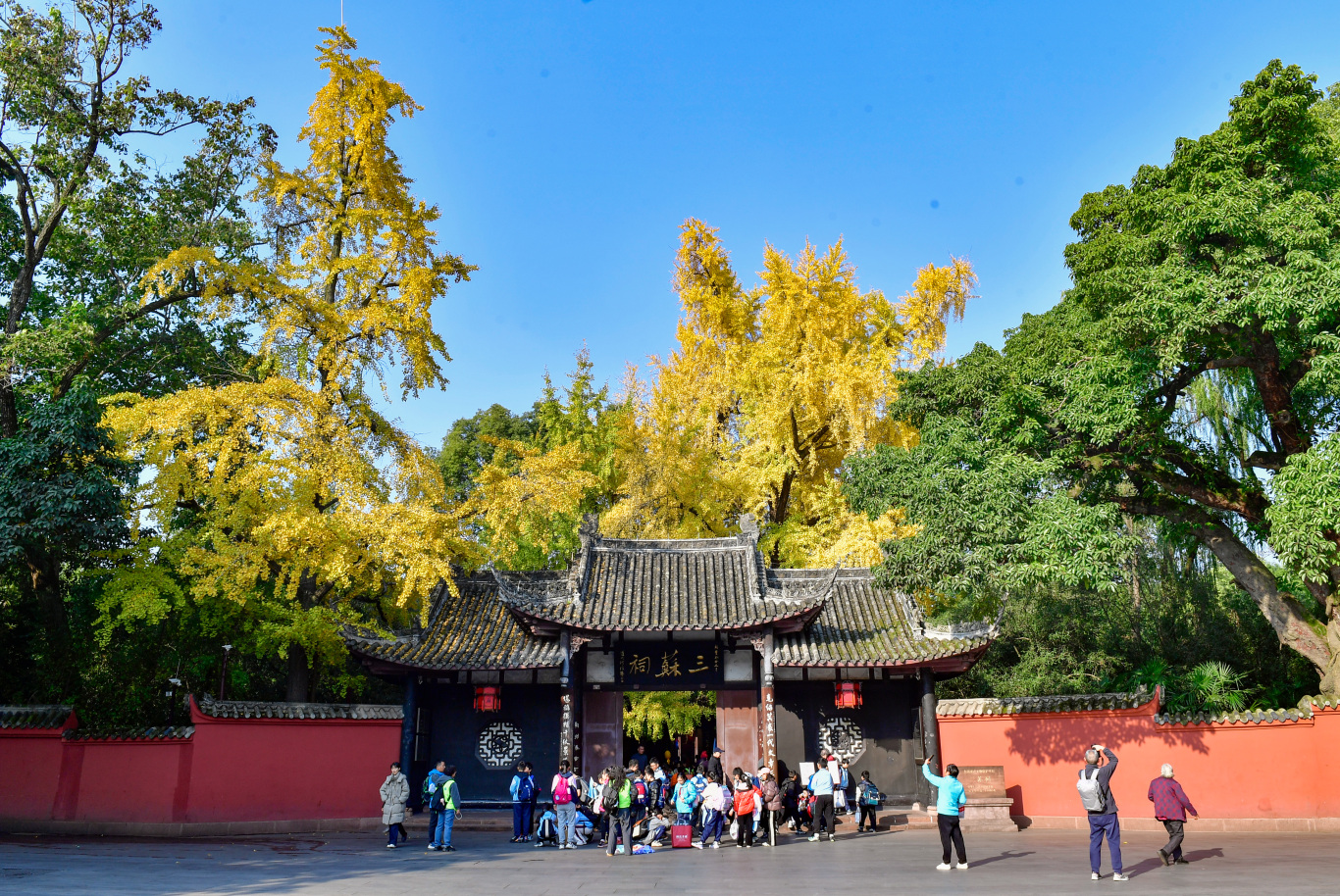 古祠又上“金裝”。 眉山日報全媒體記者 廖波 攝于三蘇祠.jpg