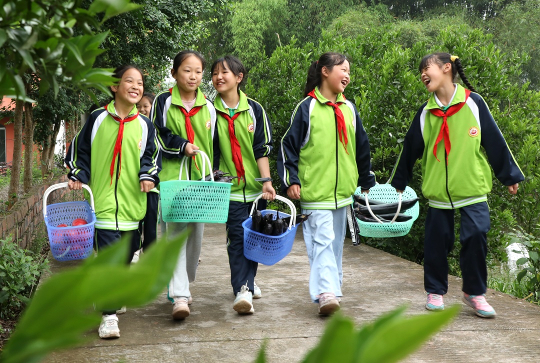 學生們正在搬運蔬菜。.jpg