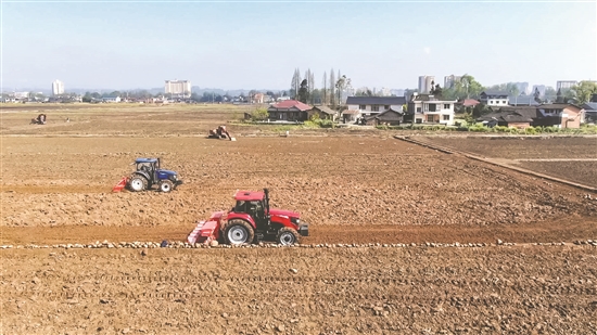 洪雅縣止戈鎮(zhèn)，種植大戶機(jī)械化整理土地。眉山日?qǐng)?bào)全媒體記者 廖波 攝.jpg