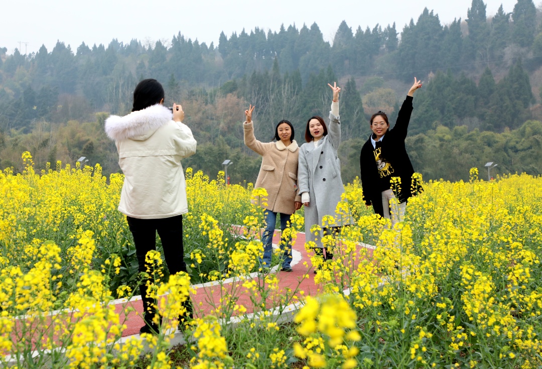 青崗鄉盤龍村油菜花開，游客來。.jpg