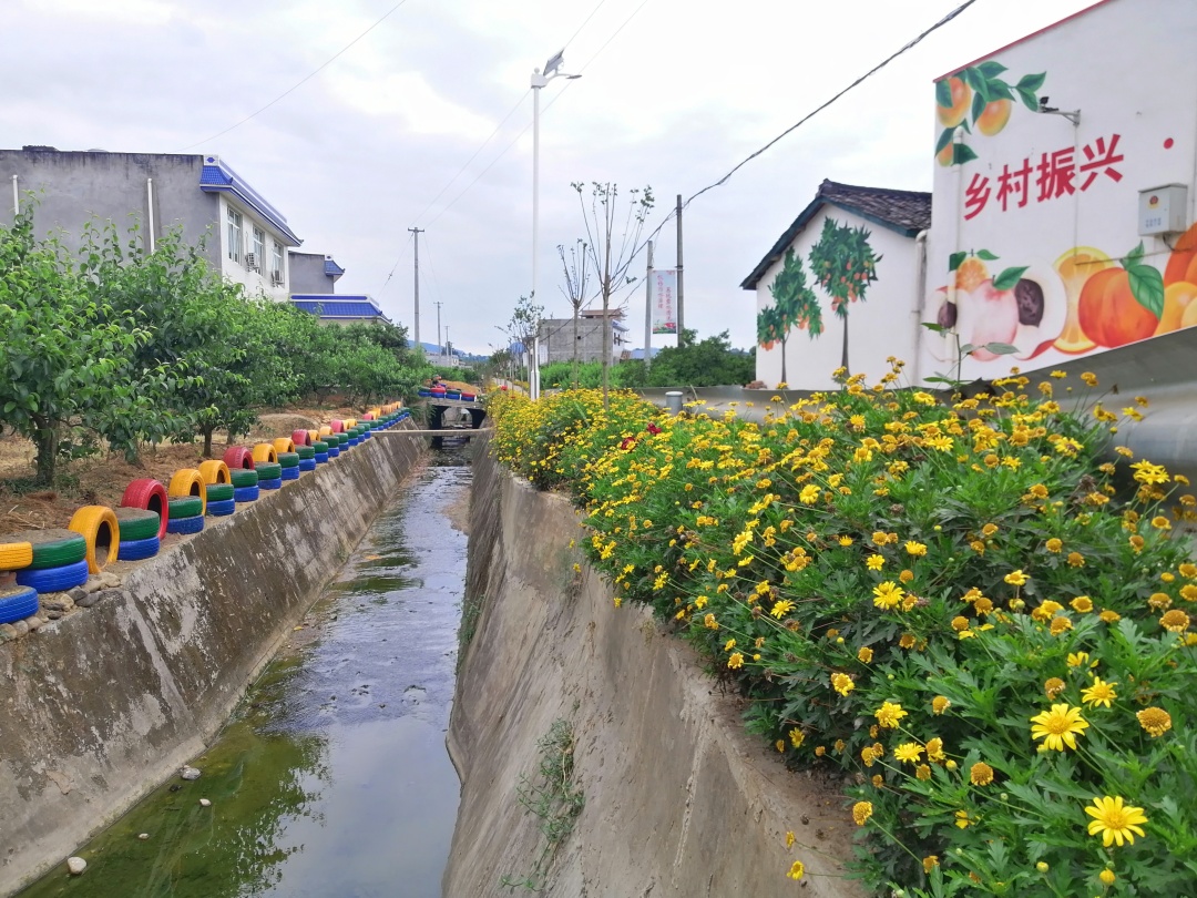 改善人居環境，艾光村當前的村容村貌.jpg