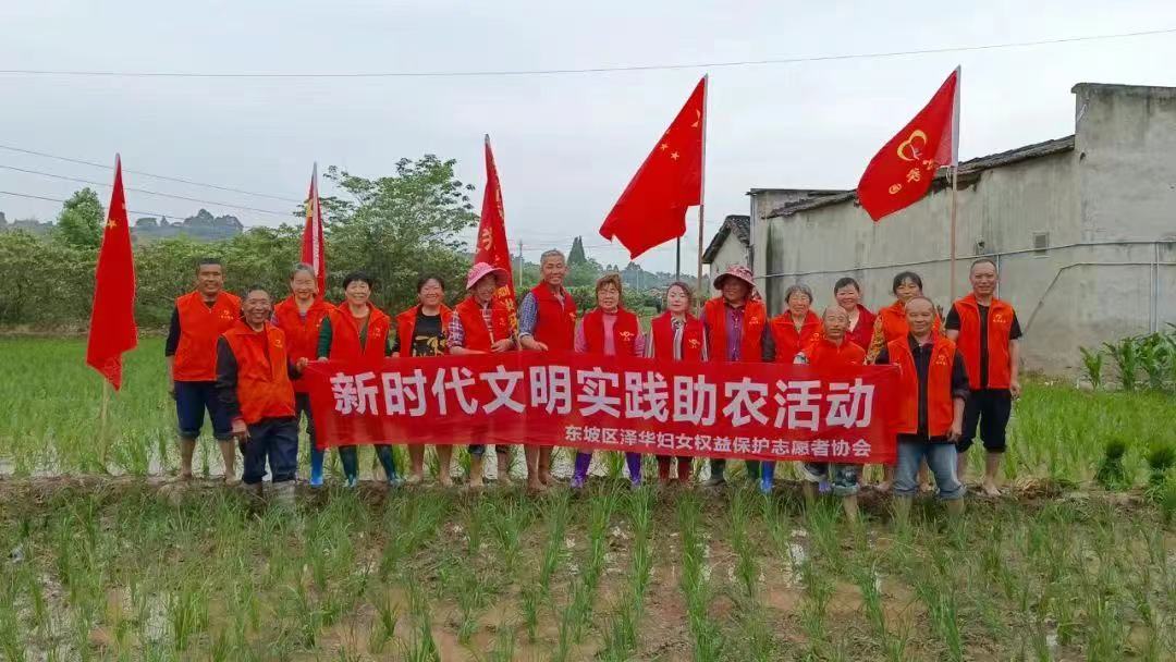 志愿者參與助農活動，分享勞動喜悅。 (1).jpg