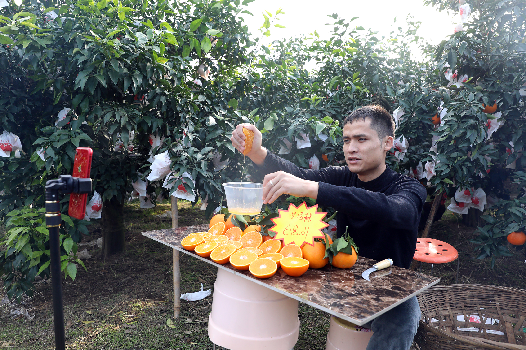 紅石村將電商作為柑橘銷售重點發(fā)展方向。