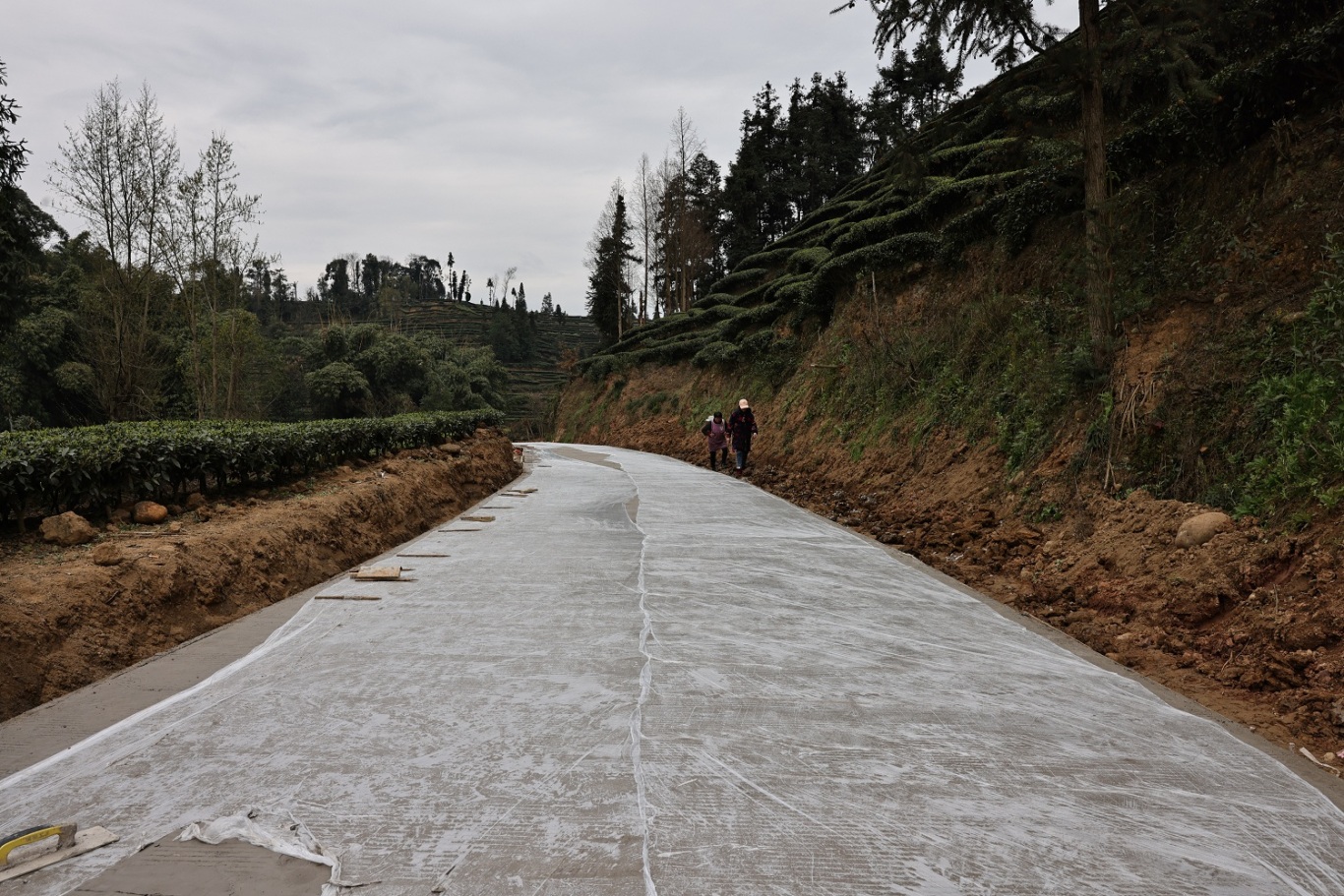 陽坪村以工代賑項目已完成路面硬化的道路.JPG