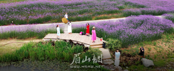 已建成的“中法農業科技園”展示區。