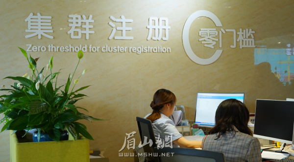 眉山天府新區營商環境專區。.png