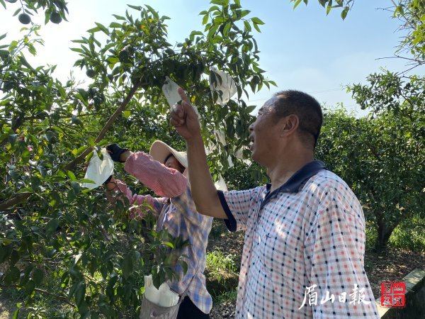 李培明認(rèn)為，誠實守信是做人的基本準(zhǔn)則。