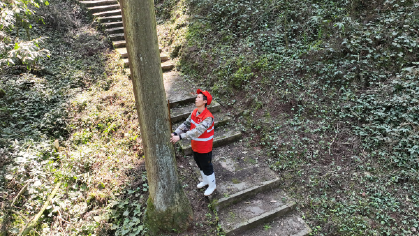  余紅林在巡山。